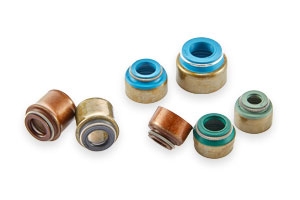 Valve Stem Oil Seals Collections