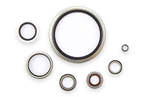 Rubber O Bonded Seal Washers Series