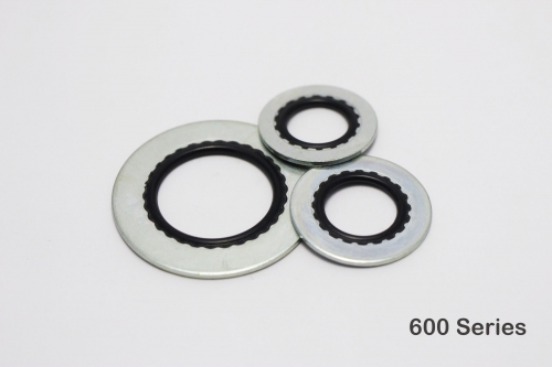 600 Series Bonded Seal Washer
