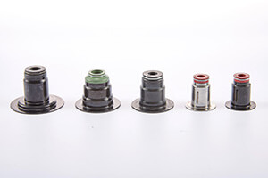 Valve Stem Seals
