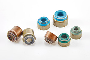 Valve Stem Oil Seals Series